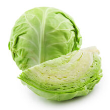 Green Cabbage Pattagobi Seed Vegetable