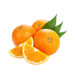 Fruits Fruits